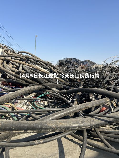 【4月5日长江现货,今天长江现货行情】-第2张图片