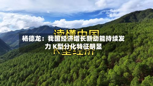 杨德龙：我国经济增长新动能持续发力 K型分化特征明显