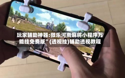 玩家辅助神器:微乐河南麻将小程序万能挂免费版”(透视挂)辅助透视教程-第2张图片