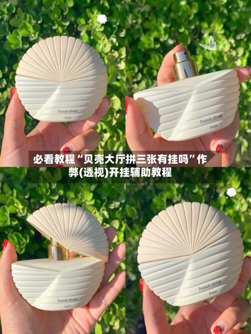 必看教程“贝壳大厅拼三张有挂吗”作弊(透视)开挂辅助教程-第2张图片