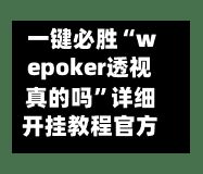 一键必胜“wepoker透视真的吗”详细开挂教程官方正版下载-第3张图片