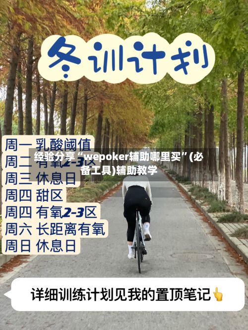 经验分享“wepoker辅助哪里买”(必备工具)辅助教学-第3张图片