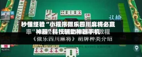 秒懂经验“小程序微乐四川麻将必赢神器”科技辅助神器手机-第3张图片