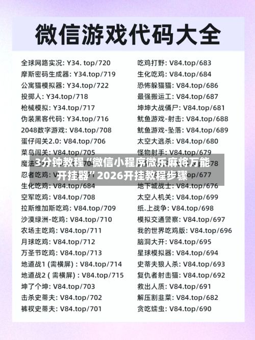 3分钟教程“微信小程序微乐麻将万能开挂器”2026开挂教程步骤-第3张图片
