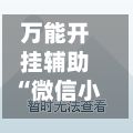 万能开挂辅助“微信小程序雀神辅助器安装包教程”揭秘透视辅助万能挂-第2张图片