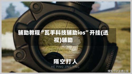 辅助教程“瓦手科技辅助ios”开挂(透视)辅助-第2张图片