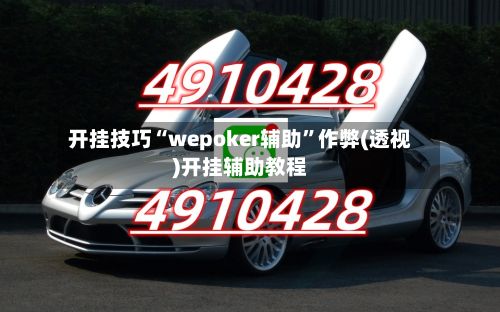 开挂技巧“wepoker辅助”作弊(透视)开挂辅助教程-第3张图片