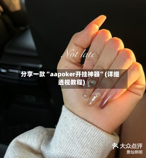分享一款“aapoker开挂神器”(详细透视教程)-第3张图片