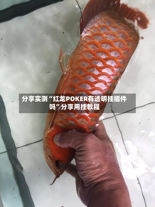 分享实测“红龙POKER有透明挂插件吗”分享用挂教程-第3张图片