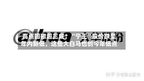 高点回撤超三成！“宁王	”股价跌至年内新低	，这些大白马也创今年低点-第3张图片