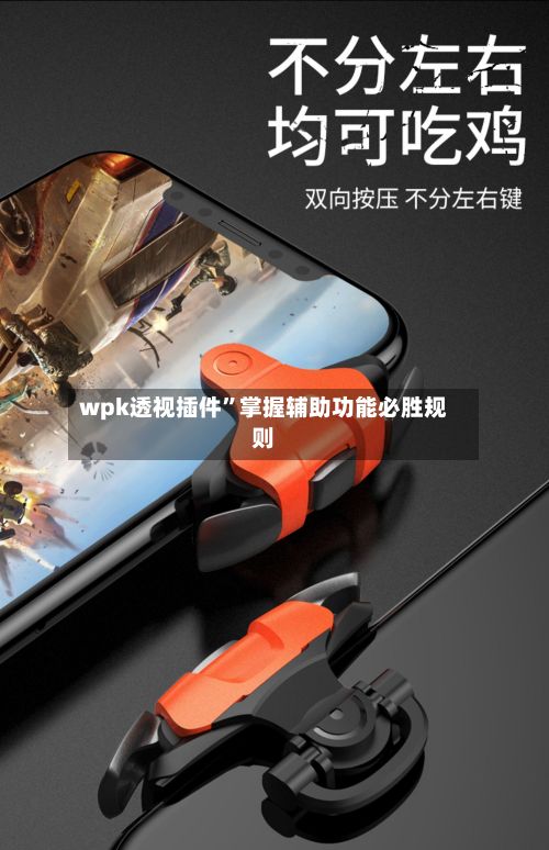 wpk透视插件”掌握辅助功能必胜规则-第2张图片