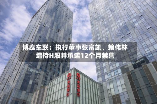 博泰车联：执行董事张富凯、赖伟林增持H股并承诺12个月禁售-第2张图片
