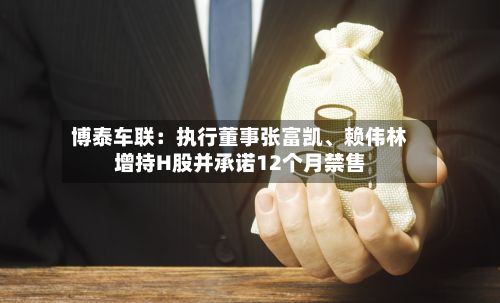 博泰车联：执行董事张富凯、赖伟林增持H股并承诺12个月禁售-第3张图片