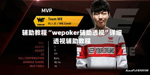 辅助教程“wepoker辅助透视”详细透视辅助教程-第2张图片