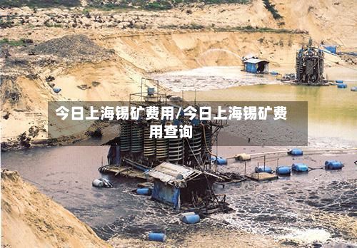 今日上海锡矿费用/今日上海锡矿费用查询-第2张图片