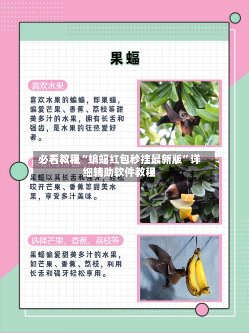 必看教程“蝙蝠红包秒挂最新版”详细辅助软件教程
