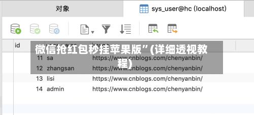 微信抢红包秒挂苹果版”(详细透视教程)-第3张图片