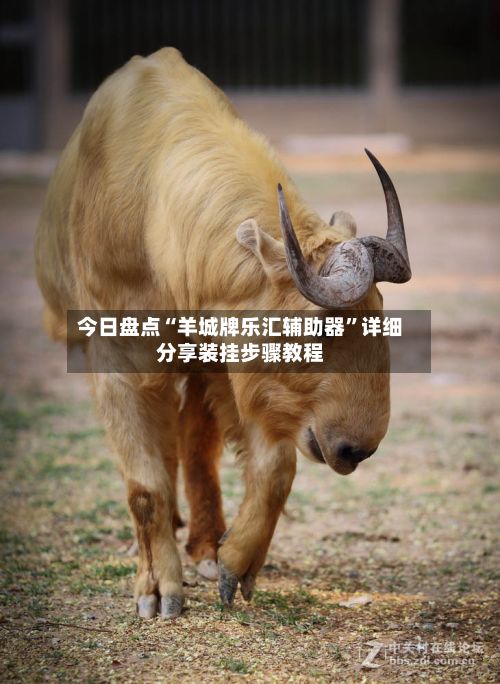 今日盘点“羊城牌乐汇辅助器	”详细分享装挂步骤教程-第2张图片