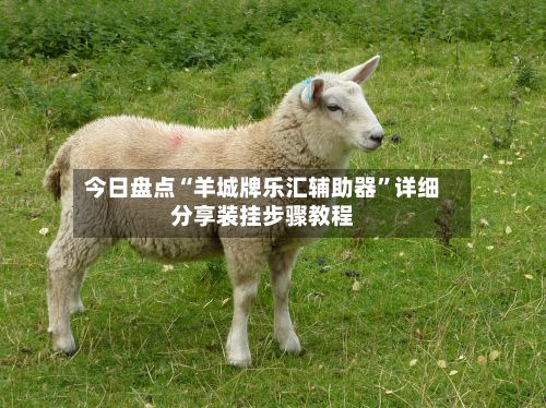 今日盘点“羊城牌乐汇辅助器”详细分享装挂步骤教程-第3张图片