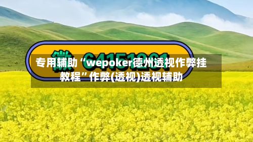 专用辅助“wepoker德州透视作弊挂教程	”作弊(透视)透视辅助-第2张图片