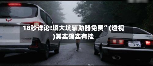 18秒详论!填大坑辅助器免费”(透视)其实确实有挂-第3张图片