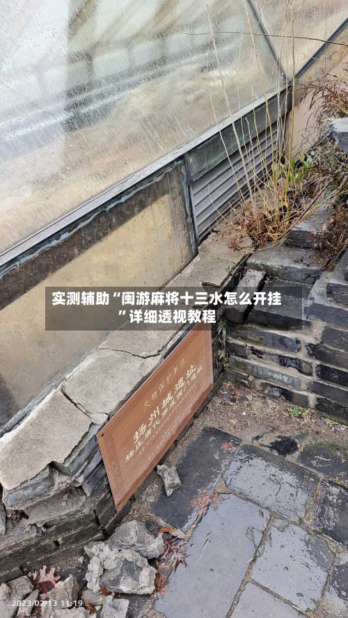 实测辅助“闽游麻将十三水怎么开挂”详细透视教程-第2张图片