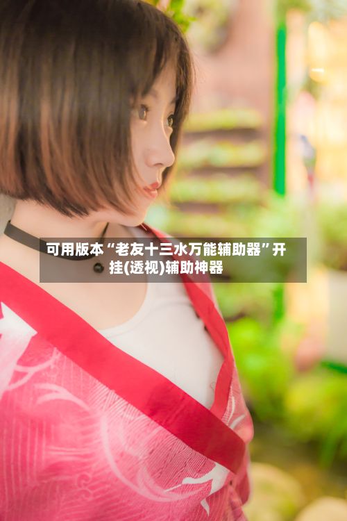 可用版本“老友十三水万能辅助器”开挂(透视)辅助神器-第3张图片