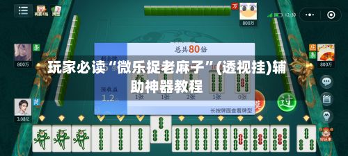 玩家必读“微乐捉老麻子”(透视挂)辅助神器教程