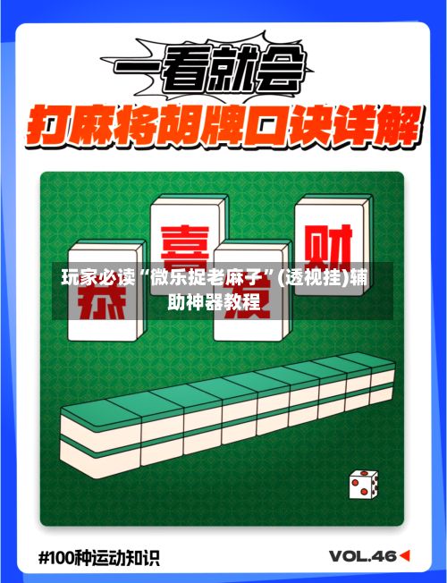 玩家必读“微乐捉老麻子”(透视挂)辅助神器教程-第2张图片