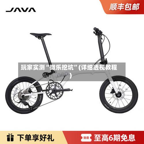 玩家实测“微乐挖坑”(详细透视教程)