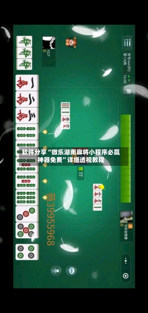 软件分享“微乐湖南麻将小程序必赢神器免费	”详细透视教程-第2张图片