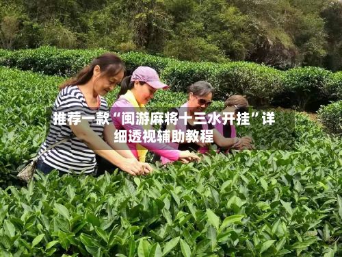 推荐一款“闽游麻将十三水开挂”详细透视辅助教程-第3张图片