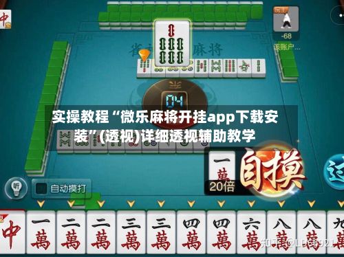 实操教程“微乐麻将开挂app下载安装”(透视)详细透视辅助教学-第2张图片