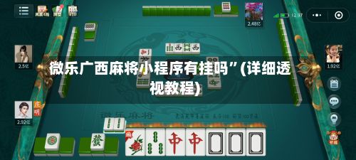 微乐广西麻将小程序有挂吗”(详细透视教程)