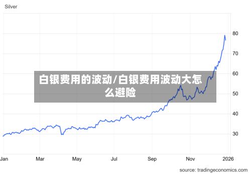 白银费用的波动/白银费用波动大怎么避险