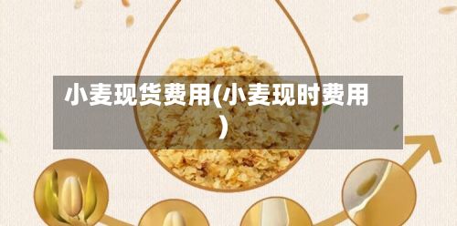 小麦现货费用(小麦现时费用)