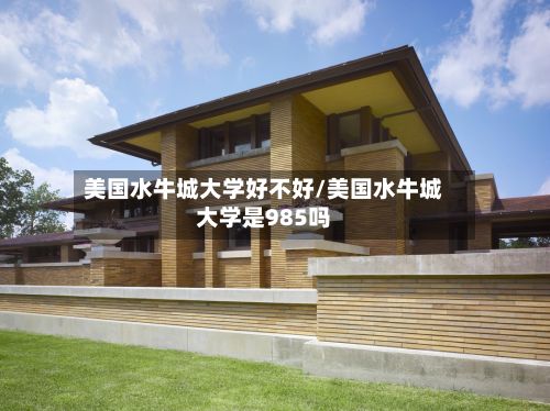 美国水牛城大学好不好/美国水牛城大学是985吗