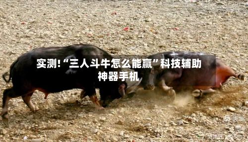 实测!“三人斗牛怎么能赢”科技辅助神器手机-第2张图片