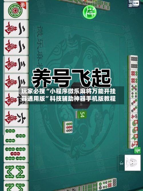 玩家必搜“小程序微乐麻将万能开挂器通用版	”科技辅助神器手机版教程-第2张图片