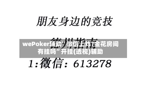 wePoker辅助”微信上炸?金花房间有挂吗”开挂(透视)辅助
