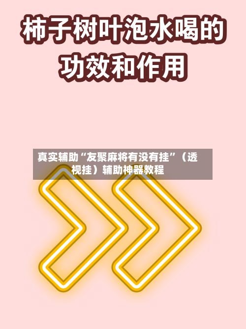 真实辅助“友聚麻将有没有挂	”（透视挂）辅助神器教程-第3张图片