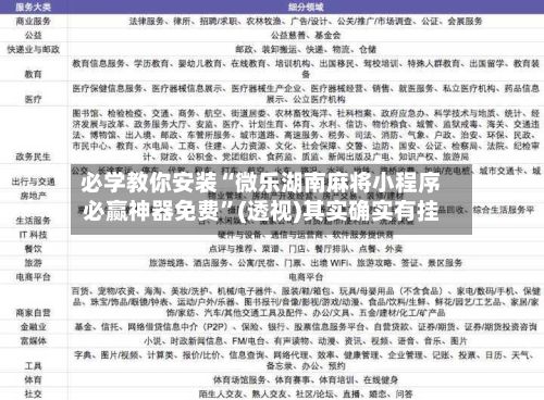 必学教你安装“微乐湖南麻将小程序必赢神器免费	”(透视)其实确实有挂-第2张图片
