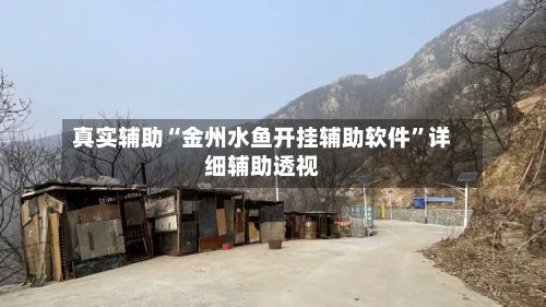 真实辅助“金州水鱼开挂辅助软件”详细辅助透视-第2张图片