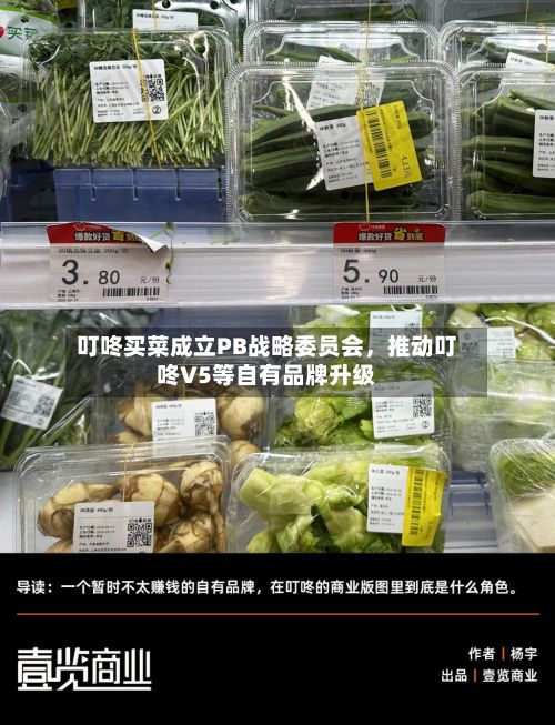 叮咚买菜成立PB战略委员会	，推动叮咚V5等自有品牌升级-第1张图片