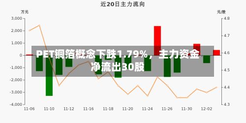 PET铜箔概念下跌1.79%，主力资金净流出30股-第2张图片