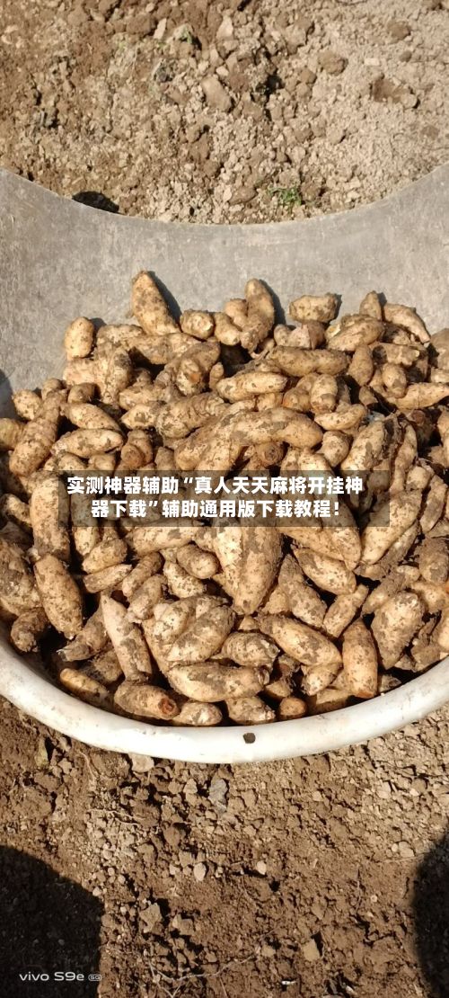 实测神器辅助“真人天天麻将开挂神器下载	”辅助通用版下载教程！-第3张图片
