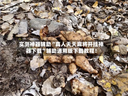 实测神器辅助“真人天天麻将开挂神器下载”辅助通用版下载教程！-第2张图片