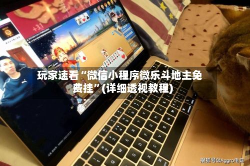 玩家速看“微信小程序微乐斗地主免费挂	”(详细透视教程)-第2张图片