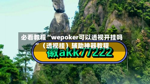 必看教程“wepoker可以透视开挂吗”（透视挂）辅助神器教程-第2张图片