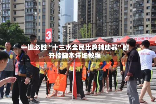 一键必胜“十三水全民比鸡辅助器	”附开挂脚本详细教程-第2张图片